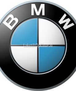 BMW lakstiften